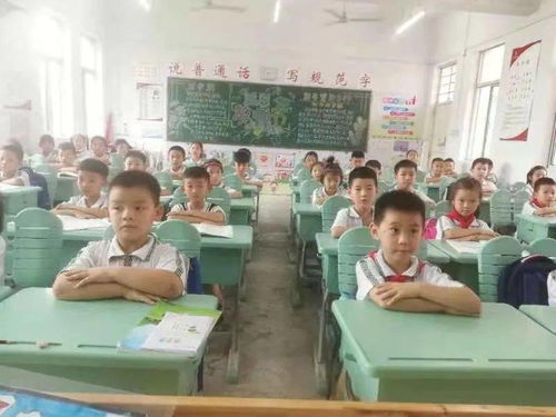 貴池實驗小學開展第24屆 推普周 主題系列活動