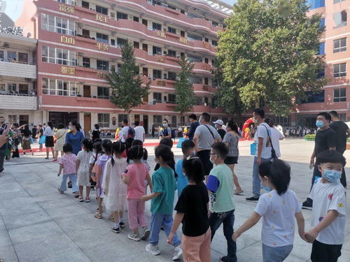 市實驗小學 我們開學了