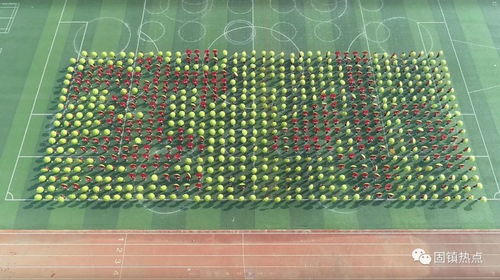 固鎮(zhèn)縣實驗小學(xué)教育集團第十四屆趣味運動會 全程航拍圖片