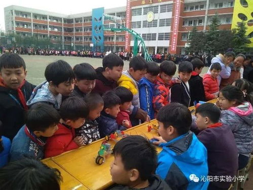 贊 實驗小學新獲一項 國字號 榮譽