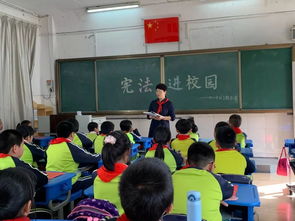 持續(xù)發(fā)力 全市憲法日精彩活動集錦 一