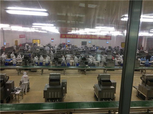 冬至,鄭州市惠濟區實驗幼兒園中班幼兒走進 三全食品廠 側記