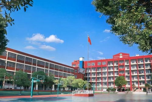 信陽市第三實驗小學篇