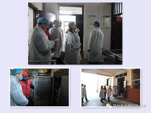 食品安全從嚴把關 關愛學生責任如山 示范區第五學區金明實驗小學食品安全專題工作 一