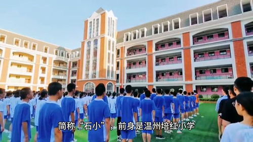 浙江省溫州市排名的九所小學,看看有沒有您就讀過的母校