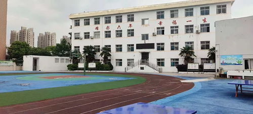 看地報告 規劃實驗小學旁,約87畝,巢湖又一低密品質盤將誕生