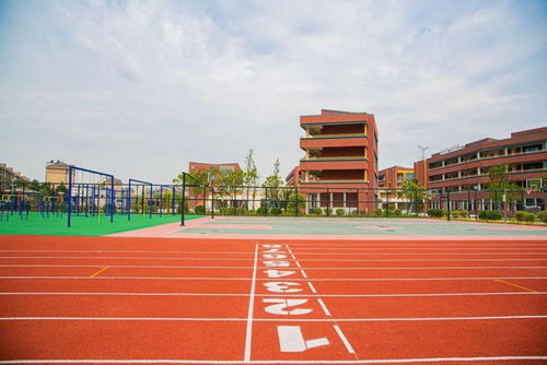 矚目,平湖實驗小學來啦