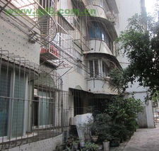 鯉灣路柳沙公司宿舍可讀逸夫小學天桃實驗中學有圖