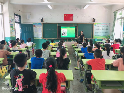 梅列區(qū)實(shí)驗(yàn)小學(xué)開展端午節(jié)系列活動(dòng)