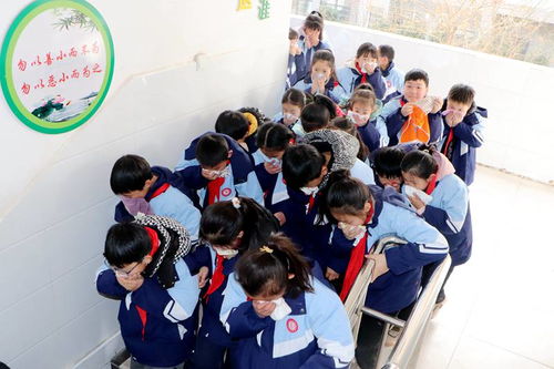 鳳陽新聞網 實驗小學的教育實踐與成就