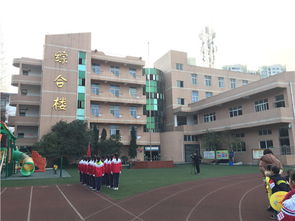 雨城區太平實驗小學舉行2019春季開學典禮