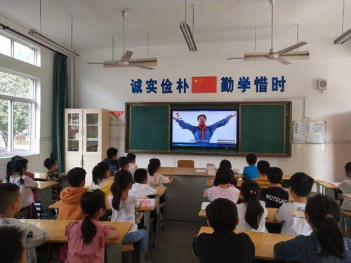 花兒朵朵向陽(yáng)開(kāi)——無(wú)錫市隆亭實(shí)驗(yàn)小學(xué)一年級(jí)入隊(duì)儀式紀(jì)實(shí)