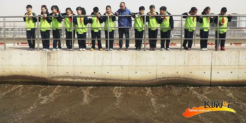 唐山豐潤(rùn) 節(jié)水護(hù)水，從我做起——實(shí)驗(yàn)小學(xué)在行動(dòng)